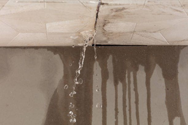 Professional Structural Drying technician working in Waldron, MO